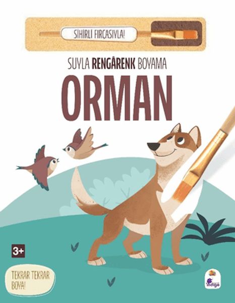 Suyla Rengarenk Boyama - Orman (Sihirli Fırçasıyla)