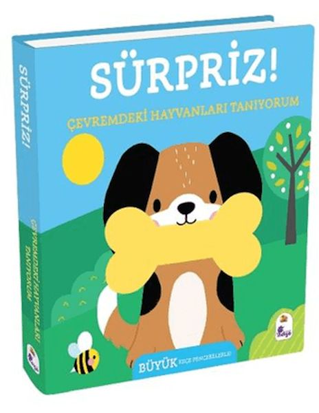 Sürpriz! - Çevremdeki Hayvanları Tanıyorum